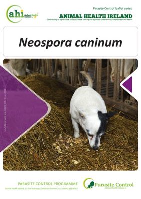  Neospora! This Tiny Parasite Packs a Powerful Punch When It Comes To Causing Serious Health Issues In Livestock