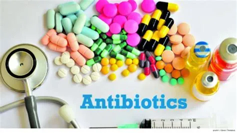 Vitamins and Antibiotics: A Complex Relationship